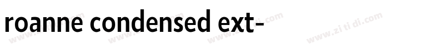 roanne condensed ext字体转换